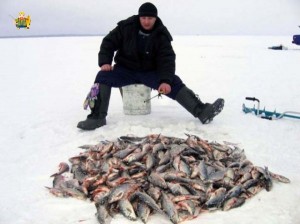 Рыбалка в зимнюю пору