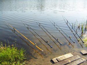 Как правильно выбрать удочку рыбалки летом