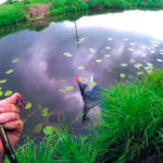 Рыбалка на рассвете: захватывающий опыт